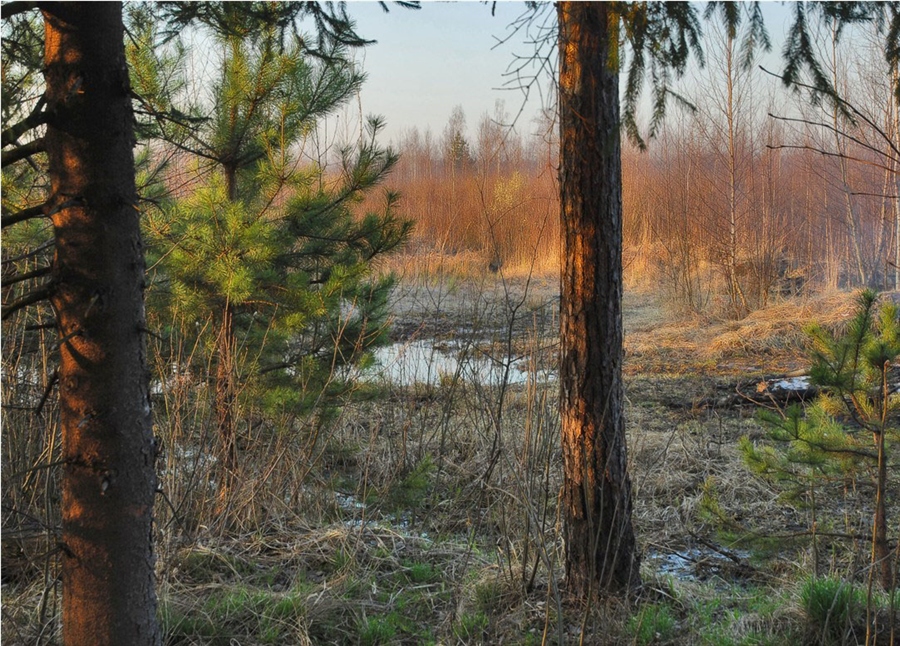 Фото жизнь