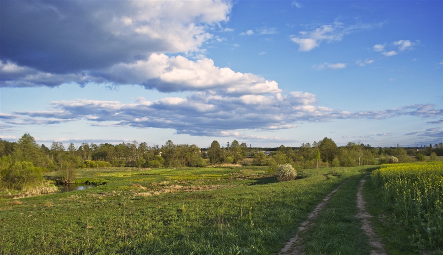 Фото жизнь