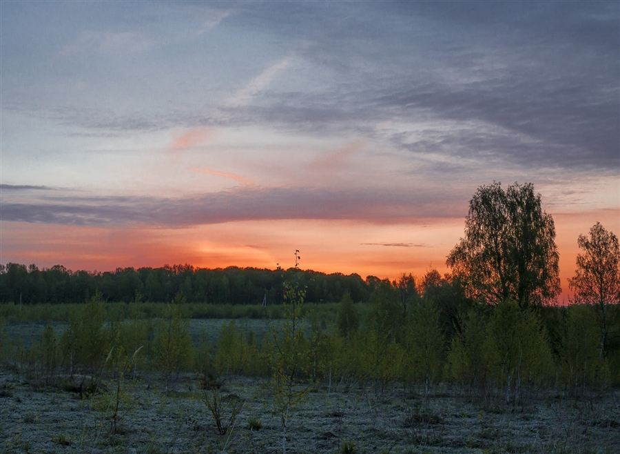 Фото жизнь