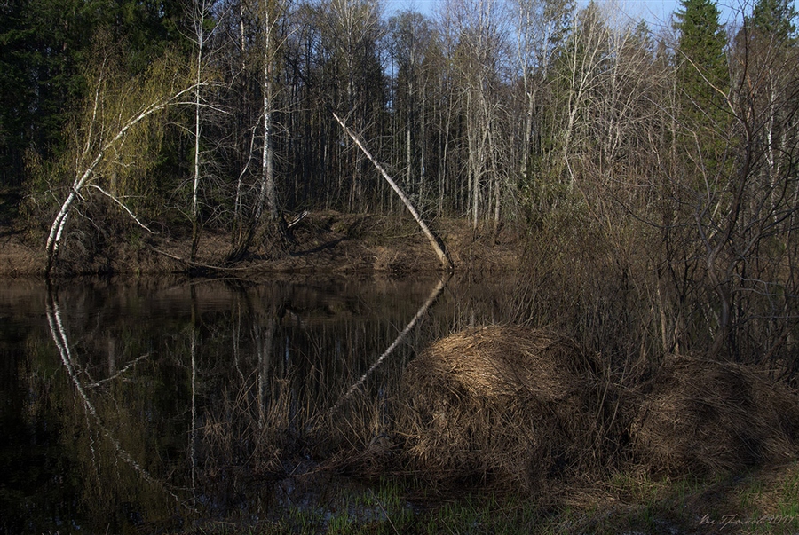 Фото жизнь
