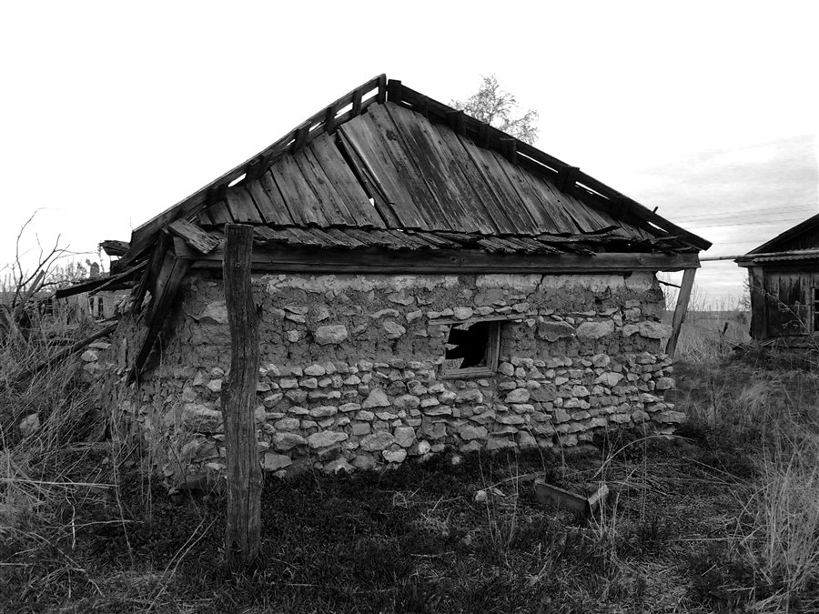 Фото жизнь