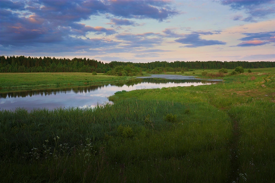 Фото жизнь