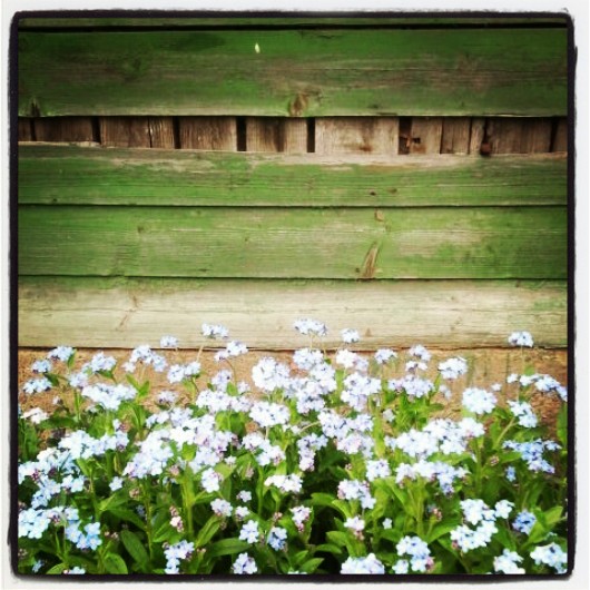 Фото жизнь (light) - serenata - корневой каталог - *