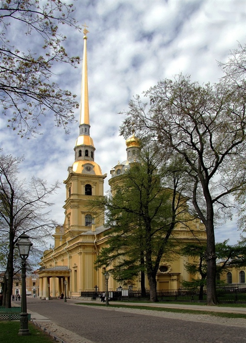 Фото жизнь