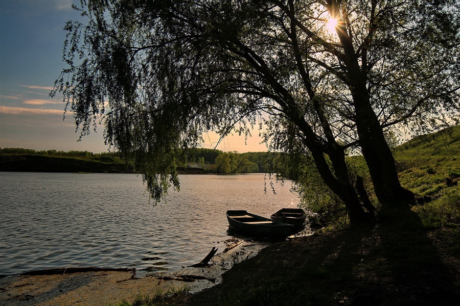Фото жизнь