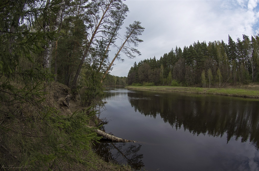 Фото жизнь