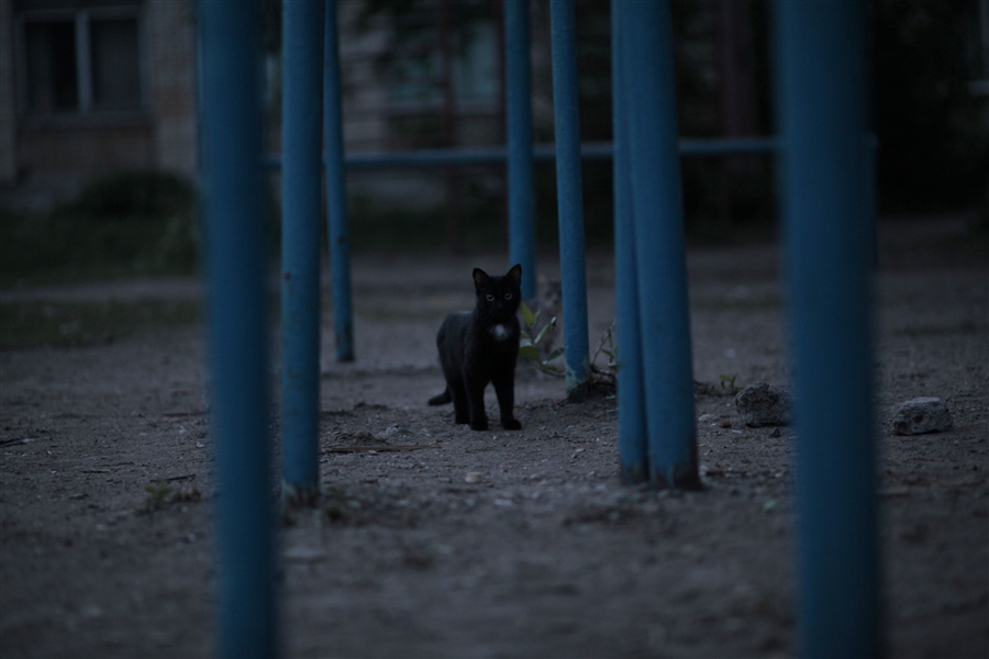 Фото жизнь