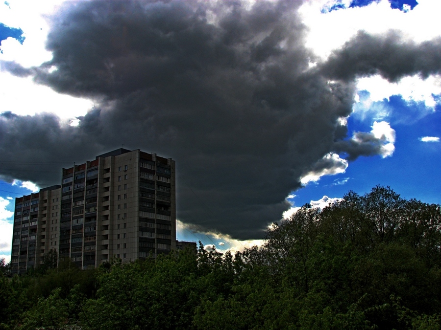 Фото жизнь