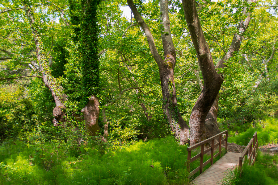 Фото жизнь (light) - Аександр Полетаев - корневой каталог - ***
