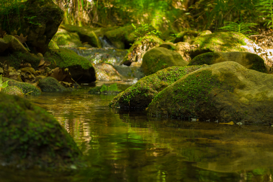 Фото жизнь (light) - Аександр Полетаев - корневой каталог - ***