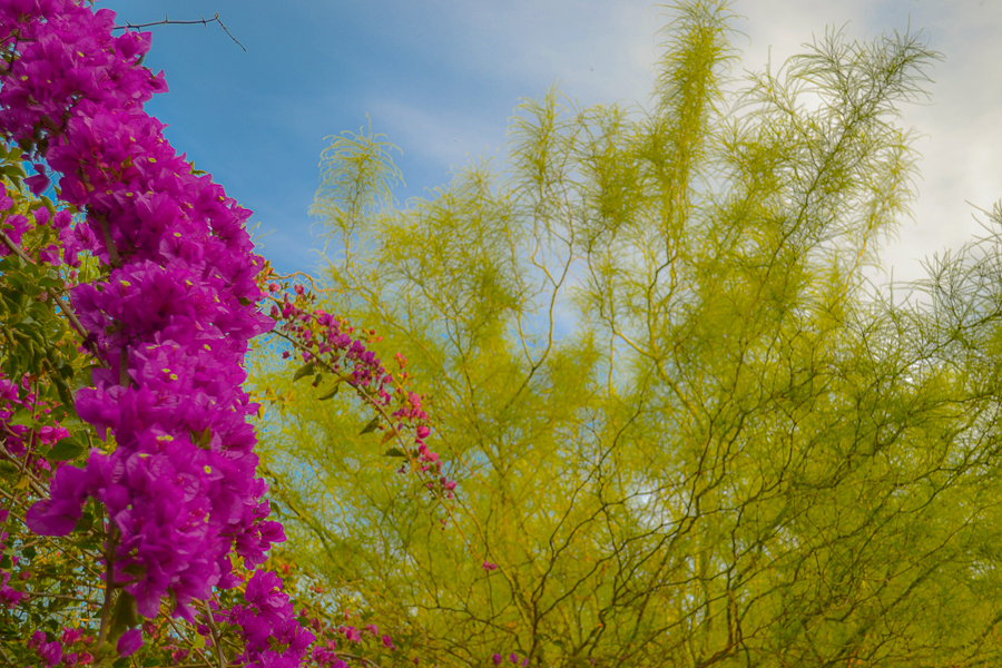Фото жизнь (light) - Аександр Полетаев - корневой каталог - ***