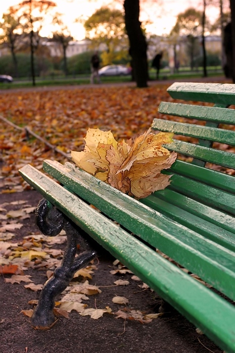 Фото жизнь