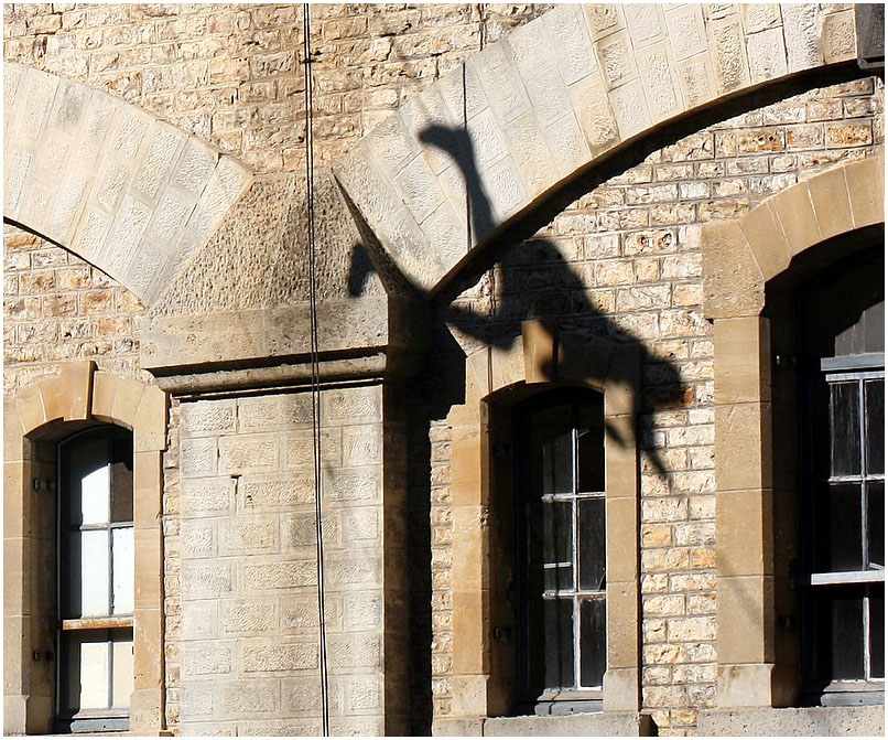 Фото жизнь (light) - . - Welcome to SKAZKA. - Тень, знай своё место! Внимание, конкурс!