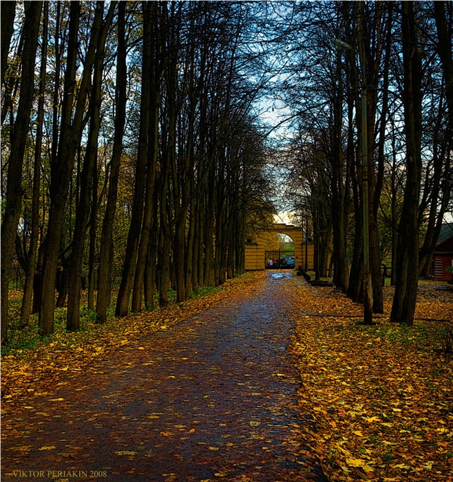Фото жизнь
