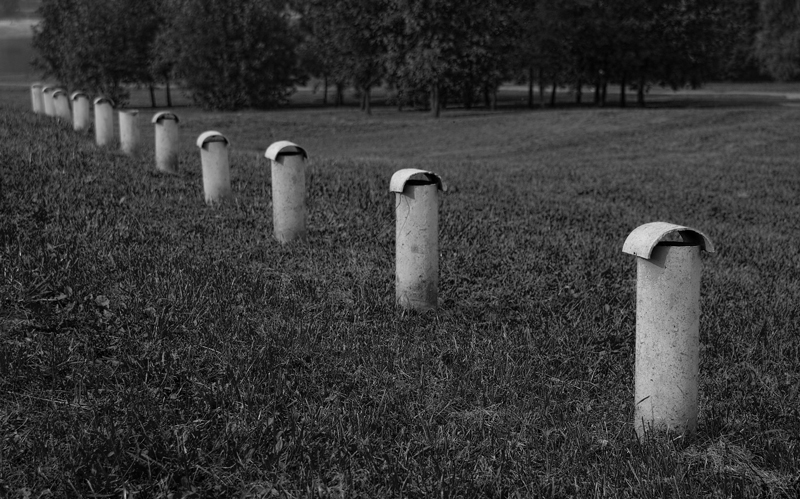 Фото жизнь (light) - kuskuse - ars - Гладкое многообразие