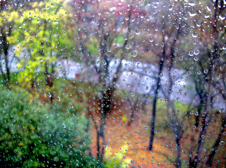 Фото жизнь (light) - curillec - корневой каталог - Color Rain