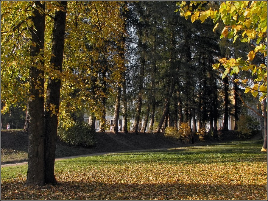 Фото жизнь - andreanto - Природа, пейзаж - Осень в Архангельском.