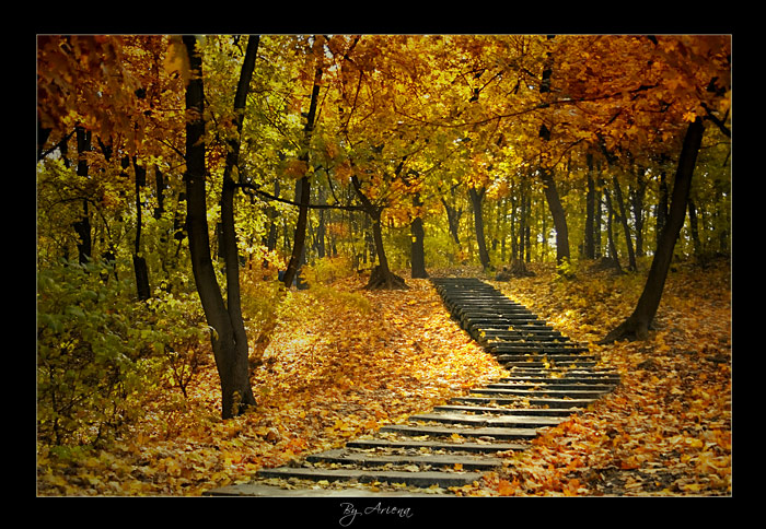 Фото жизнь (light) - Ariena - корневой каталог - ***