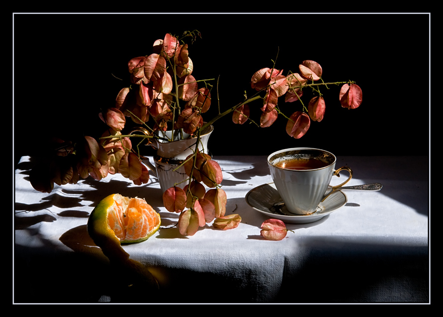 Фото жизнь (light) - Victoria Solodar - корневой каталог - Забытый чай