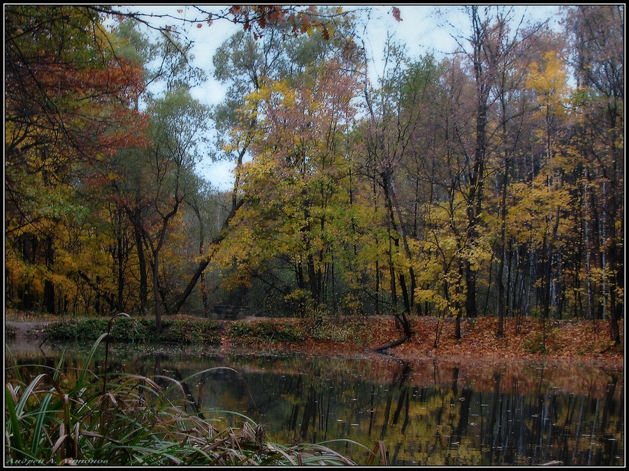 Фото жизнь (light) - andreanto - Природа, пейзаж - Осенний пруд 2