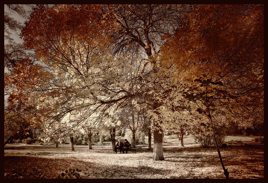 Фото жизнь (light) - Photo_Shin - корневой каталог - рыжая осень