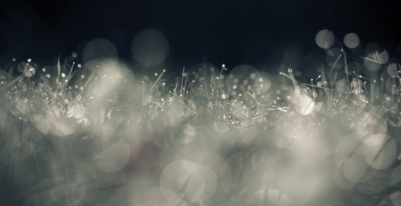 Фото жизнь (light) - Мария Стацевич - корневой каталог - Волшебство...