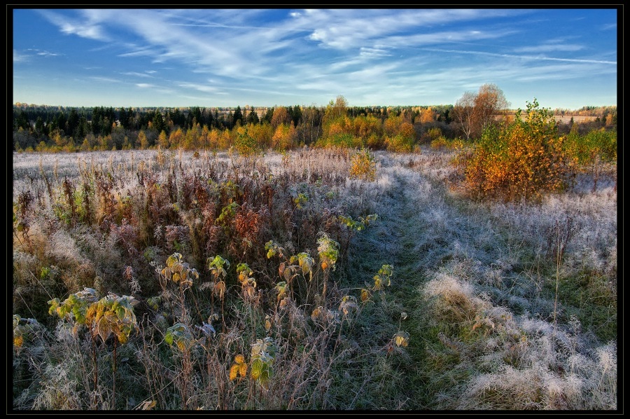 Фото жизнь (light) - Павел - корневой каталог - Утрення изморозь