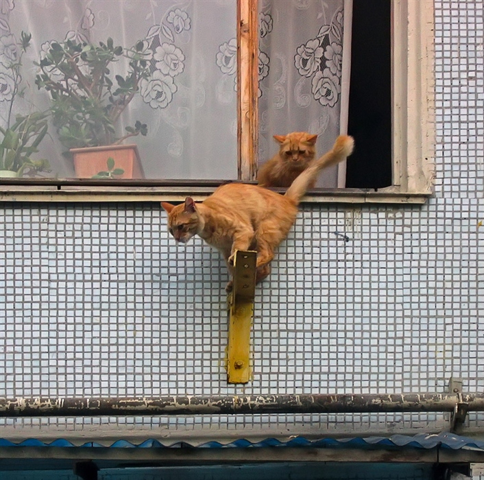 Фото жизнь