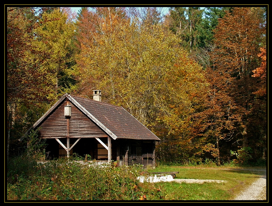 Фото жизнь
