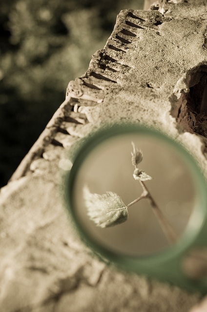 Фото жизнь (light) - Мария Стацевич - корневой каталог - ***