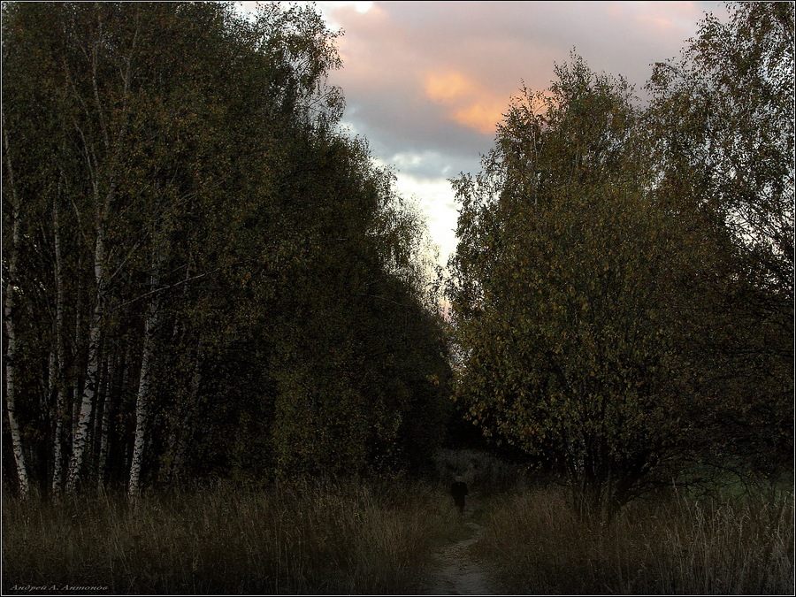 Фото жизнь (light) - andreanto - Природа, пейзаж - Тропинка в осенний лес.