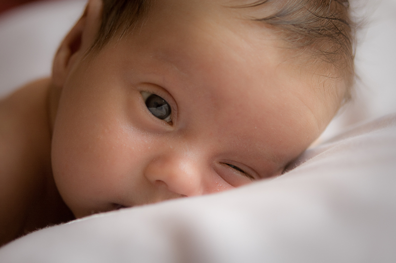 Фото жизнь (light) - INGRI - корневой каталог - Захар