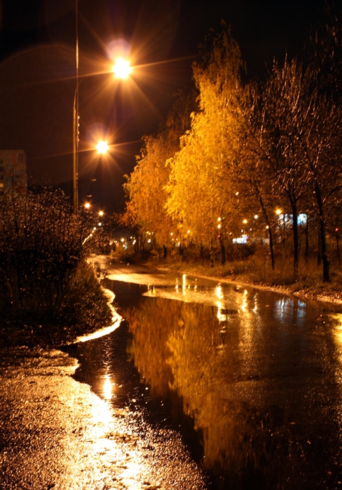 Фото жизнь