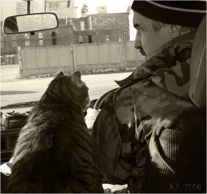 Фото жизнь (light) - sharp_pum - кошки, собаки и другие звери - инструктор вождения