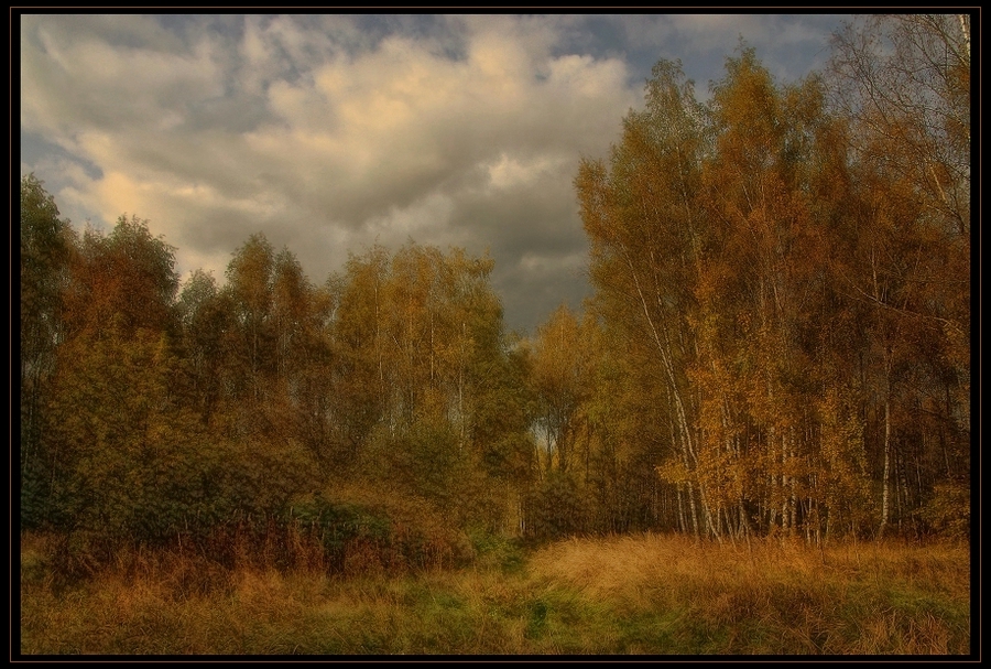 Фото жизнь (light) - Павел - корневой каталог - Рыжая осень