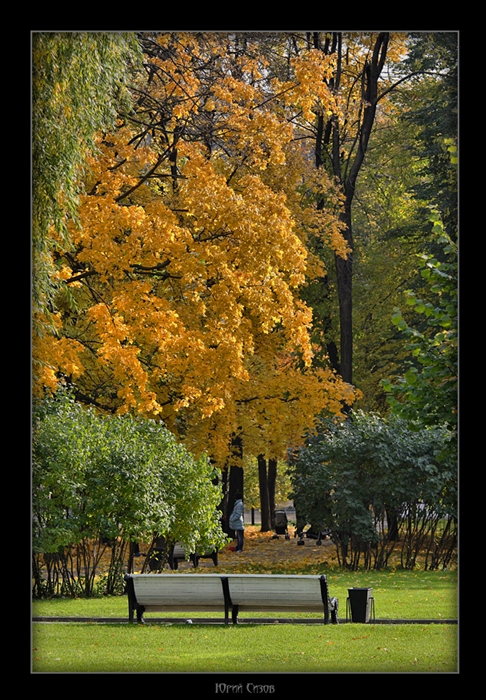 Фото жизнь