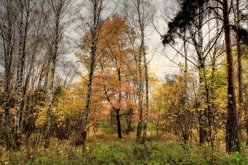 Фото жизнь (light) - Андрей Толстой - Осень... - Пастораль...