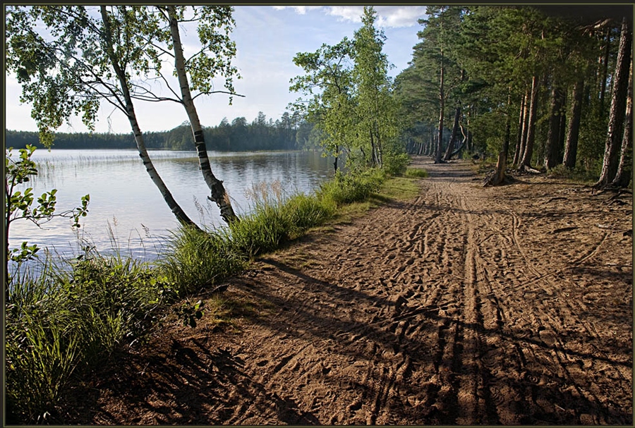Фото жизнь