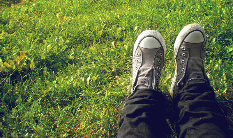 Фото жизнь (light) - dandelion - корневой каталог - lying on the grass