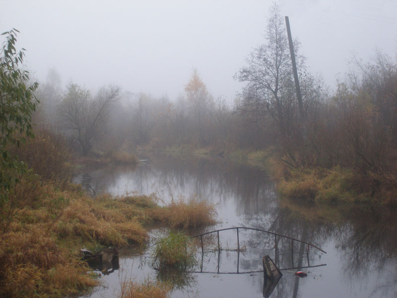 Фото жизнь - zalna - Времена года - Осенняя туманная...