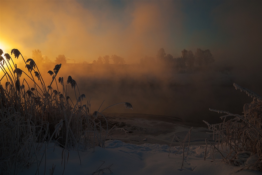 Фото жизнь