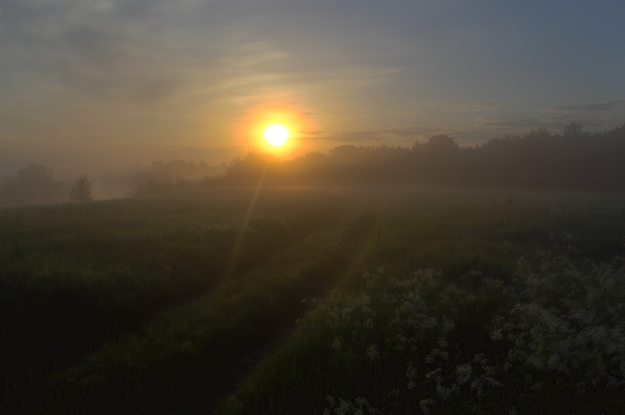 Фото жизнь