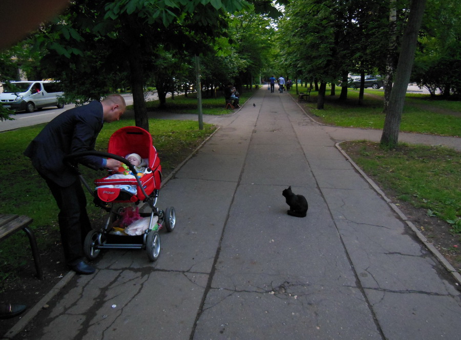 Фото жизнь - Владимир Юрков - корневой каталог - Черная кошка