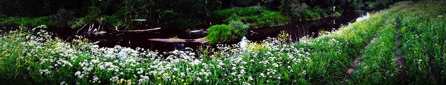 Фото жизнь (light) - serenata - корневой каталог - *