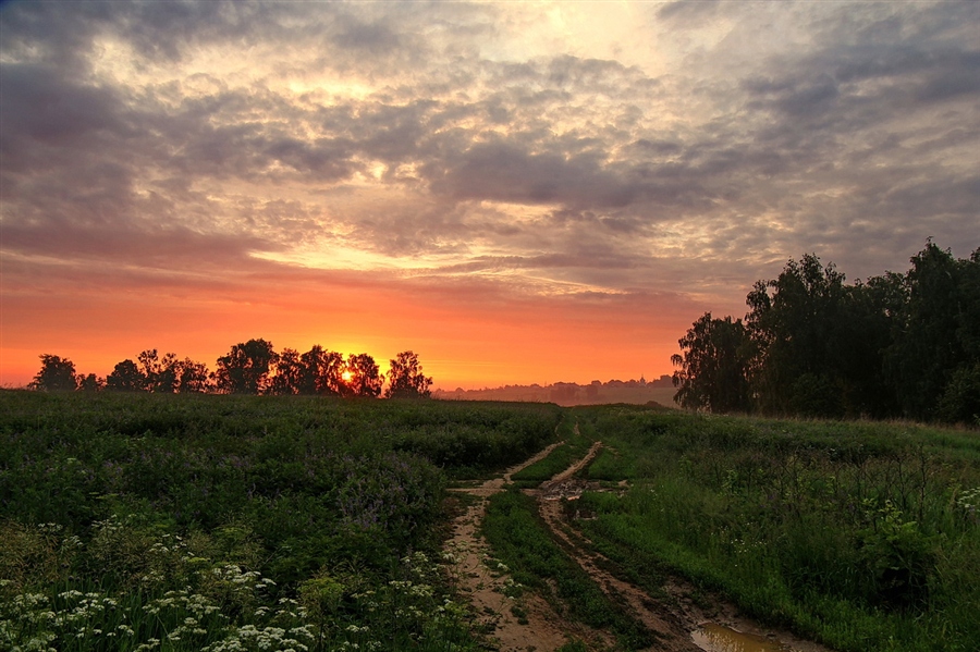 Фото жизнь