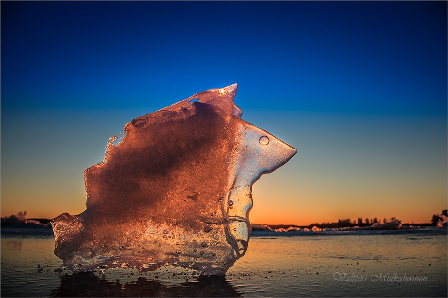 Фото жизнь