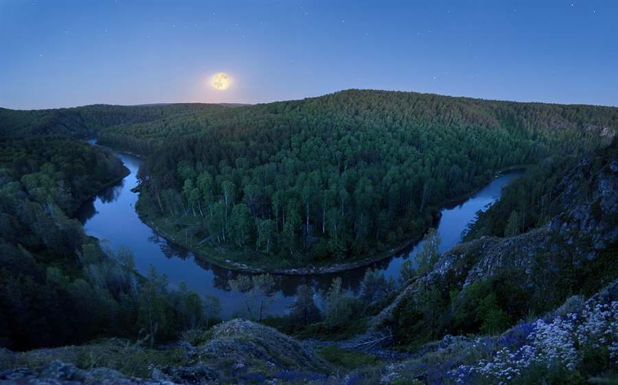 Фото жизнь