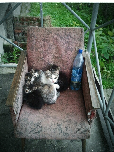 Фото жизнь (light) - serenata - корневой каталог - *