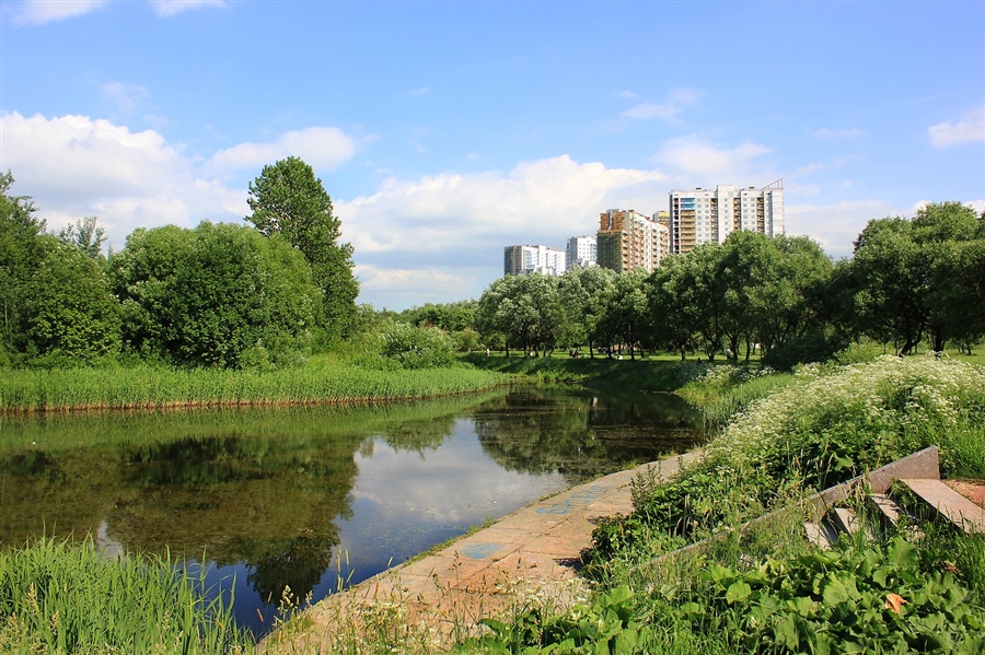 Фото жизнь