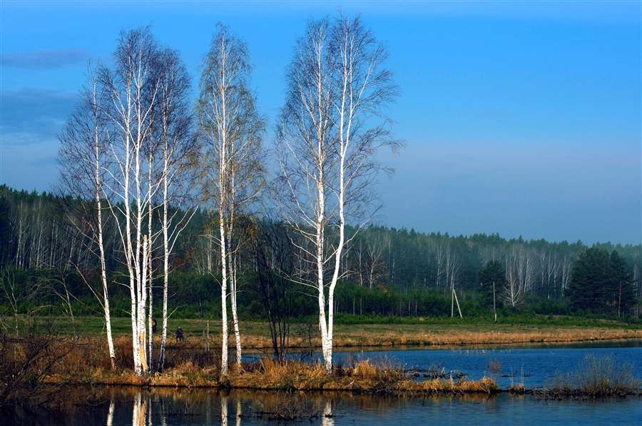 Фото жизнь